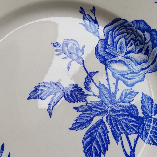 ジノリ　ローズブルー　オーバルプラター　ディーププレート　大皿　深皿　バラ　薔薇 フランス ブルーローズ 薔薇 フラットプレート 平皿/TB0856A | iichi