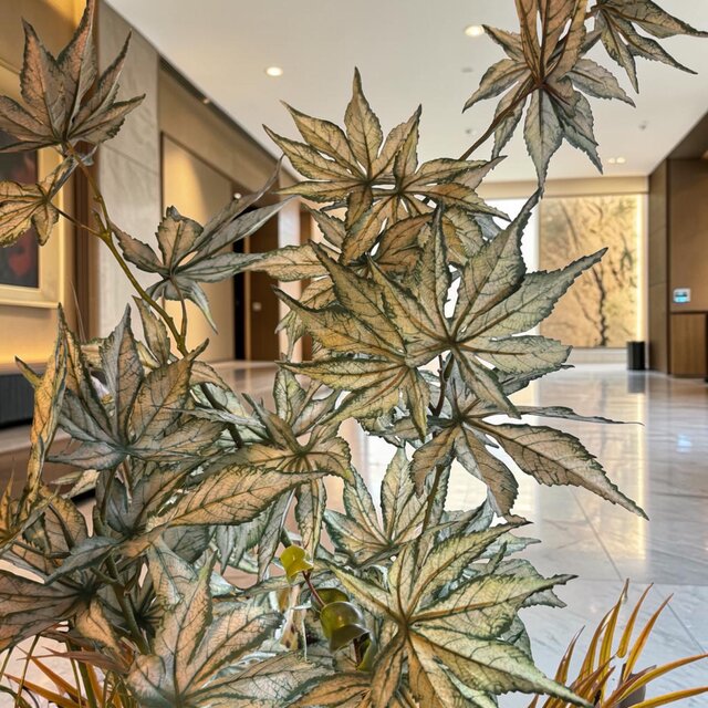 光触媒 観葉植物 ウォールグリーン フェイクグリーン ケナフと