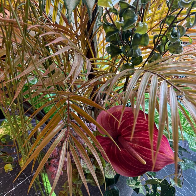光触媒 観葉植物 ウォールグリーン フェイクグリーン ケナフと