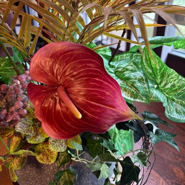 光触媒 観葉植物 ウォールグリーン フェイクグリーン ケナフと