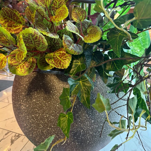 光触媒 観葉植物 ウォールグリーン フェイクグリーン ケナフと