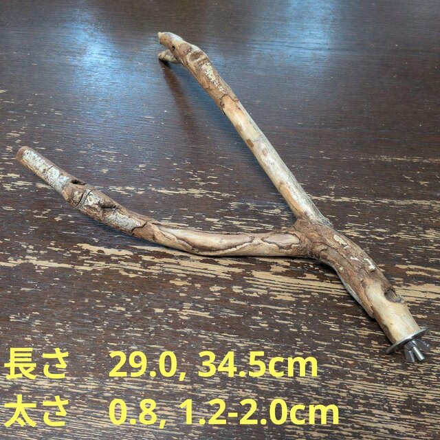 止まり木（枝：TOY-08-015）T210 | iichi 日々の暮らしを心地よくする