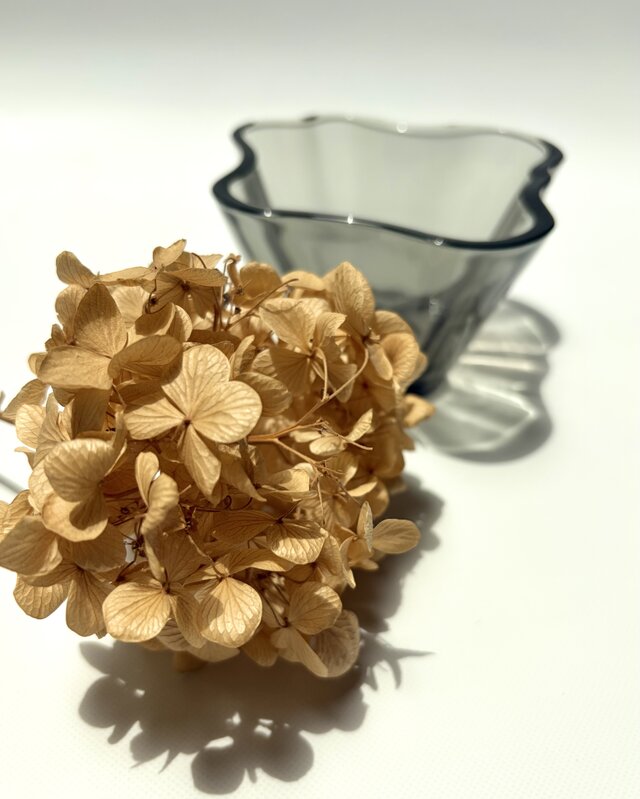  Alvar Aalto ユニークカラー ボウル iittala Alvar Aalto Collection ユニークカラー ボウル | iichi 日々