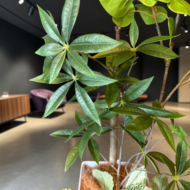 光触媒　人工観葉植物　ウォールグリーン　フェイクグリーン　ナンキンハゼ特大観葉 光触媒 人工観葉植物 ウォールグリーン フェイクグリーン ナンキンハゼ
