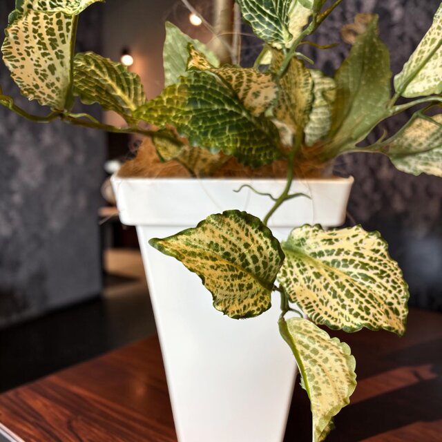 光触媒 人工観葉植物 ウォールグリーン フェイクグリーン ナンキンハゼ