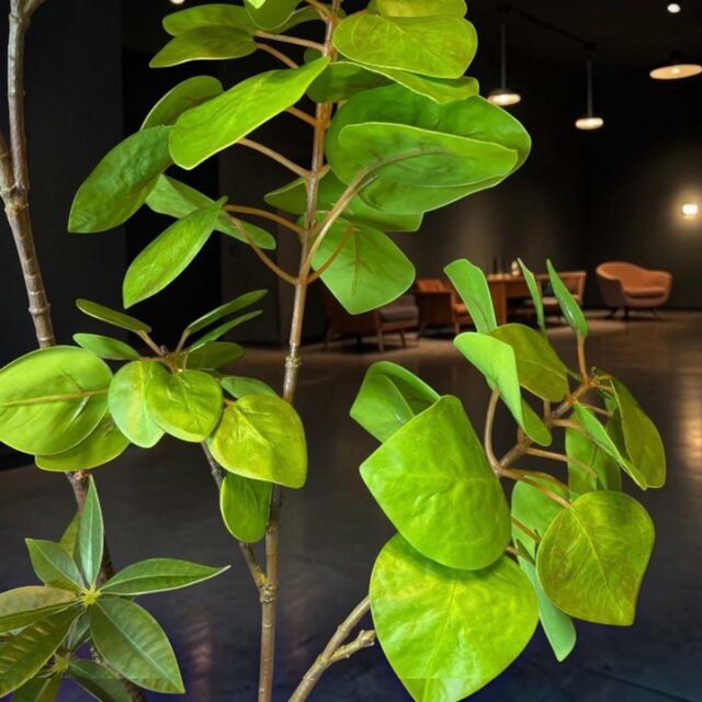 光触媒 人工観葉植物 ウォールグリーン フェイクグリーン ナンキンハゼ