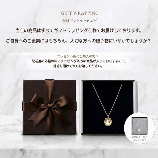 つけっぱなしOK！オクタグラムの煌めき アレルギー対応ネックレス CZ