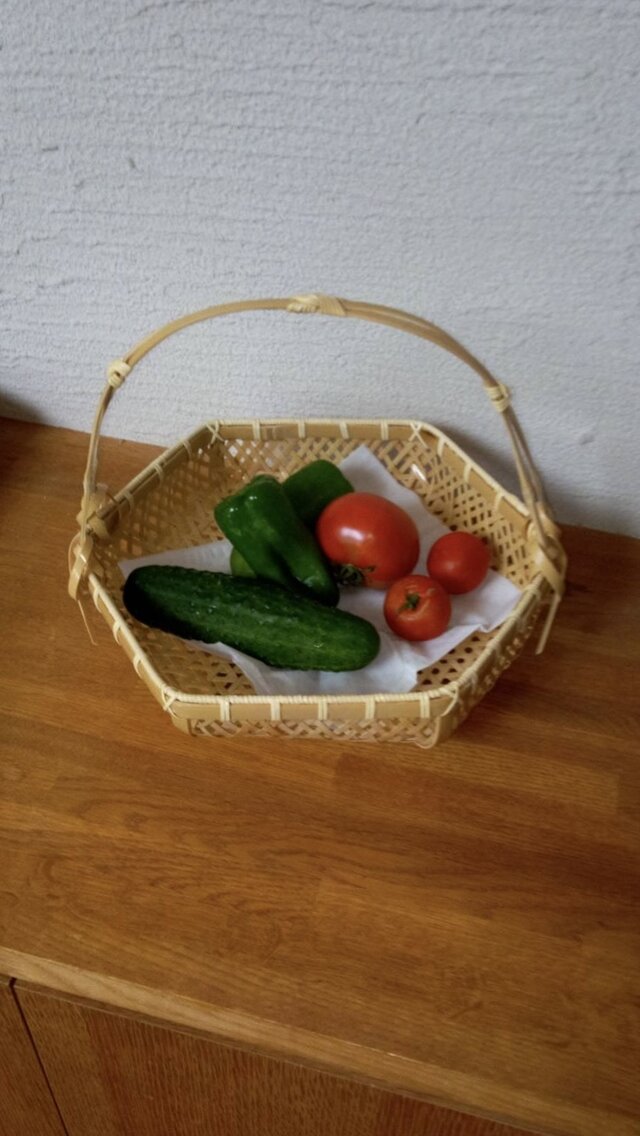 鉄線編み手付きカゴ | iichi 日々の暮らしを心地よくするハンドメイド
