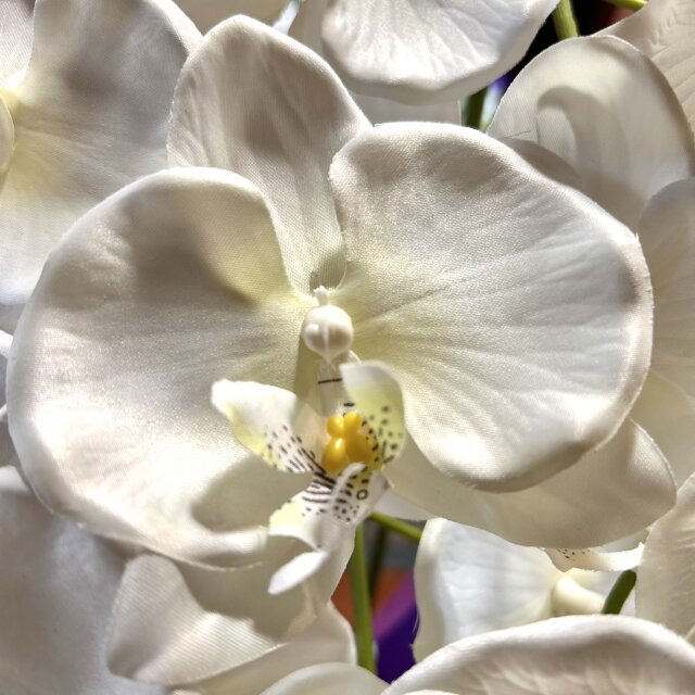 光触媒 人工観葉植物 ウォールグリーン フェイクグリーン 胡蝶蘭6133nn