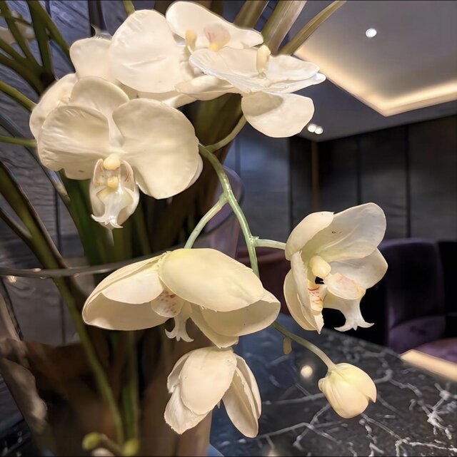 光触媒 人工観葉植物 ウォールグリーン フェイクグリーン エミリオロバ