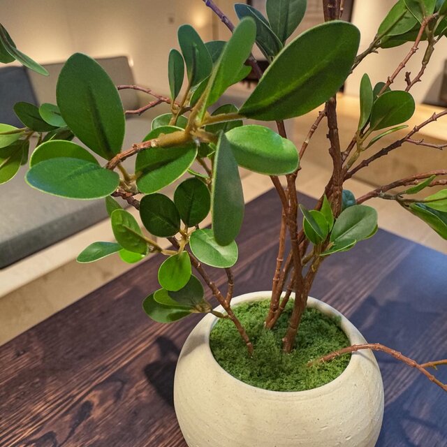 光触媒 人工観葉植物 ウォールグリーン フェイクグリーン ドウダン