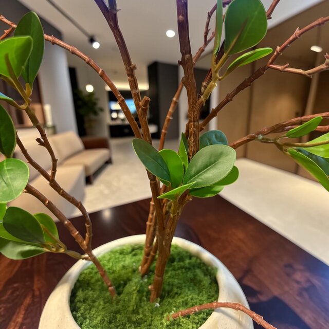 光触媒 人工観葉植物 ウォールグリーン フェイクグリーン ドウダン