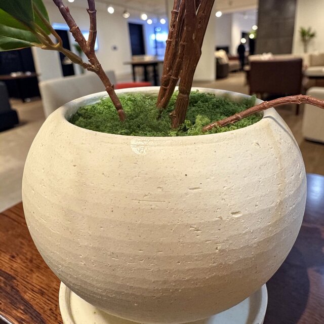 光触媒　人工観葉植物　ウォールグリーン　フェイクグリーン　ドウダン145 光触媒 人工観葉植物 ウォールグリーン フェイクグリーン ドウダン