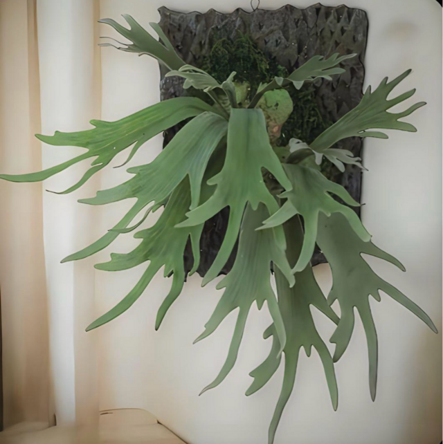 光触媒 人工観葉植物 ウォールグリーン フェイクグリーン コウモリラン