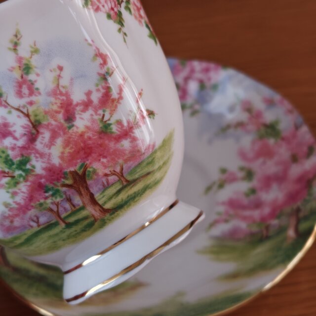 Royal Albert ｜ Blossom Time ｜ ロイヤルアルバート ブロッサム