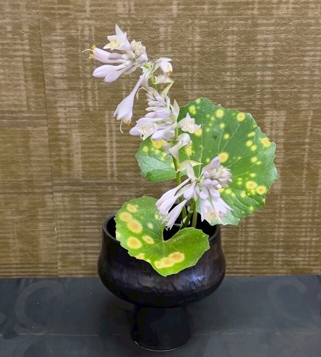 豪快な挽物のフラワーベース 花器 花入 古道具 茶道具 0012 黒釉高台花器 フラワーベース / 茶趣 茶花 華道 野の花 茶道