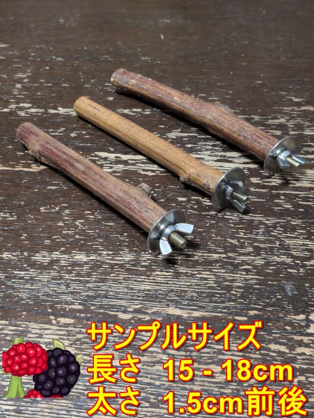 止まり木（ブラックベリー枝：TOY-08-015）×3 | iichi 日々の暮らしを