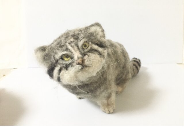 ふ*う様 羊毛フェルト　マヌルネコ 一点もの】羊毛フェルト マヌルネコ 見上げる仔猫 | iichi 日々の