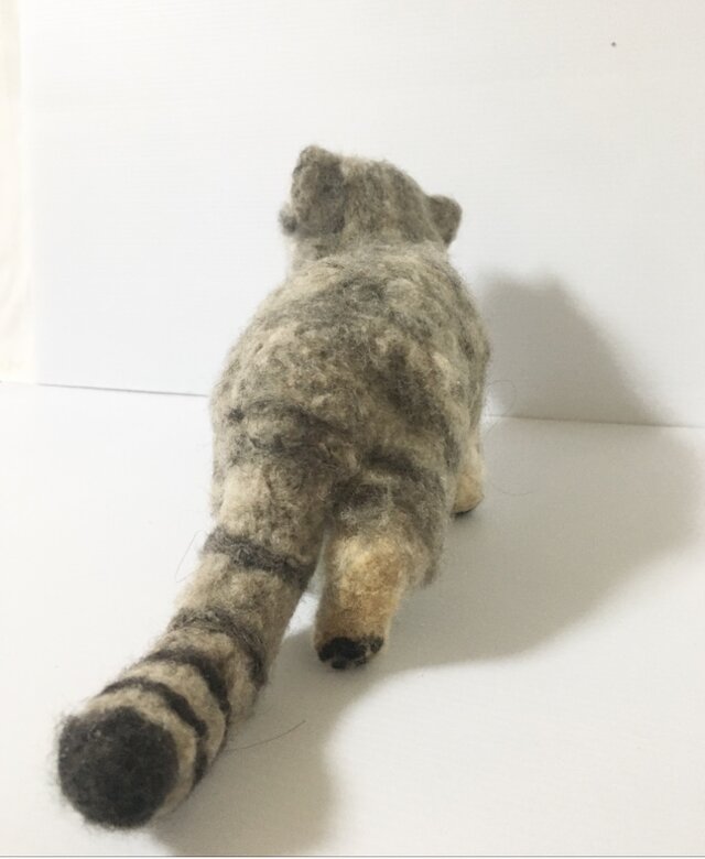 一点もの】羊毛フェルト マヌルネコ 見上げる仔猫 | iichi 日々の