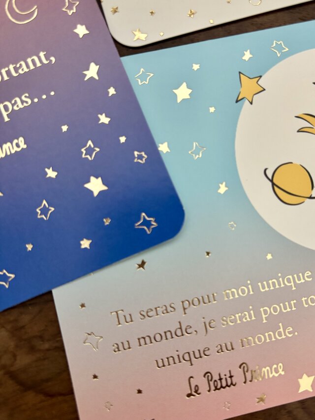 France postcard ポストカード 同柄2枚set | iichi 日々の暮らしを