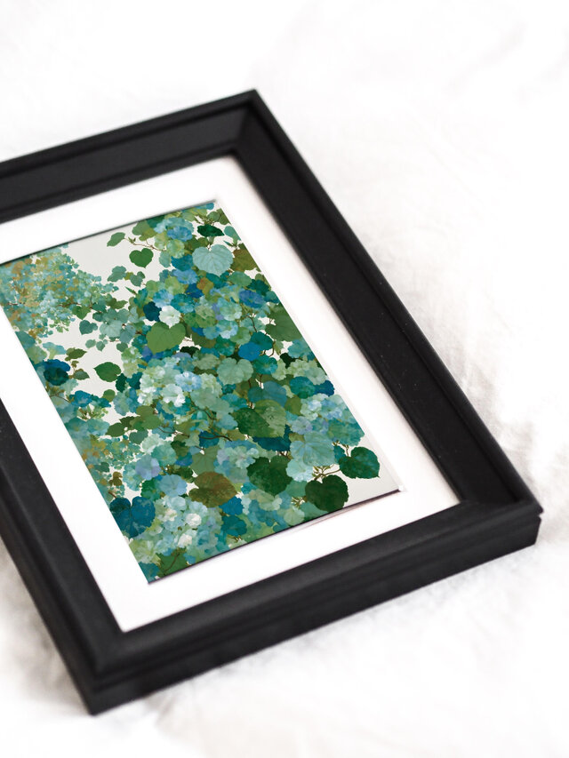 初夏に溶け込む朝顔 タイプA 】ボタニカルアート 植物画 水彩画 絵画