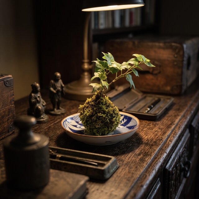 koke0004 明治期（1868～1911年）伊万里染付の器と苔玉のセット