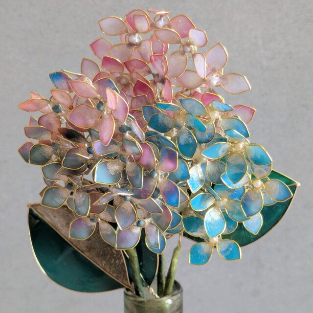 紫陽花ミックス色｜数量限定の特別な紫陽花 | iichi 日々の暮らしを