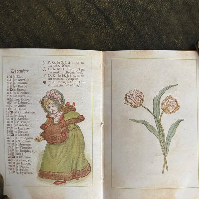 古書 Almanach de Kate Greenaway 1886 ケイト・グリーナウェイ 絵本