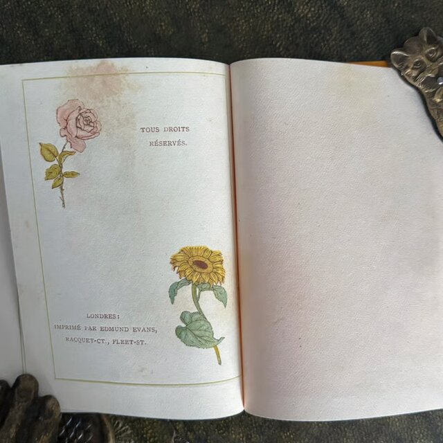 古書 Almanach de Kate Greenaway 1886 ケイト・グリーナウェイ 絵本
