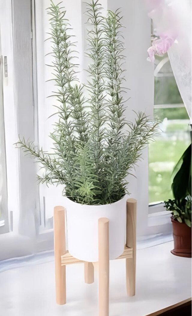 光触媒 人工観葉植物 ウォールグリーン フェイクグリーン ローズマリー