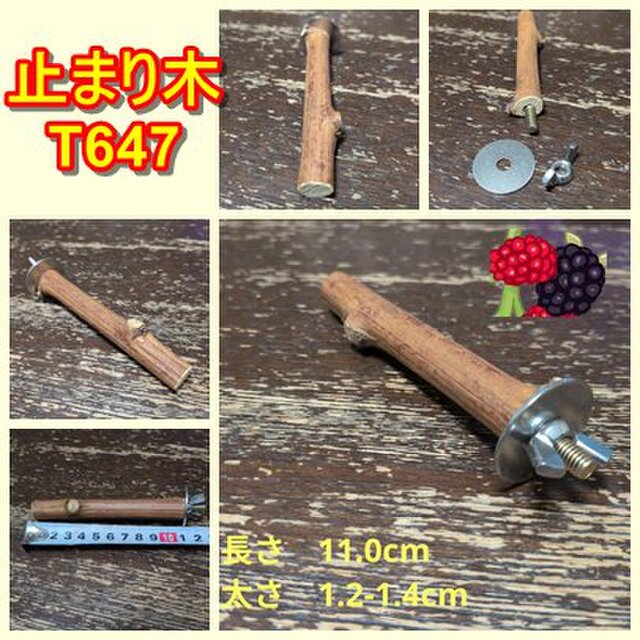 止まり木（キウイ枝：TOY-08-015）T647 | iichi 日々の暮らしを