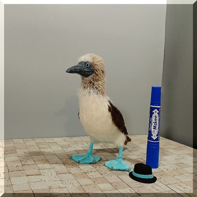 羊毛フェルト 鳥 アオアシカツオドリ 鳥フィギュア 動物フィギュア