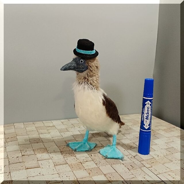羊毛フェルト 鳥 アオアシカツオドリ 鳥フィギュア 動物フィギュア