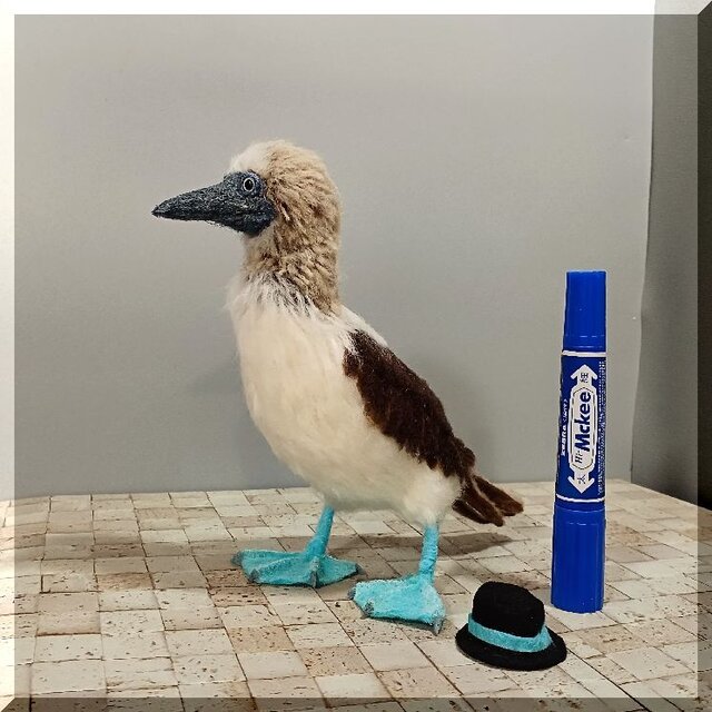 羊毛フェルト 鳥 アオアシカツオドリ 鳥フィギュア 動物フィギュア