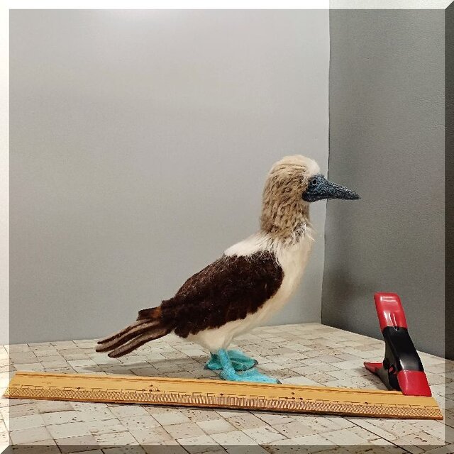 羊毛フェルト 鳥 アオアシカツオドリ 鳥フィギュア 動物フィギュア