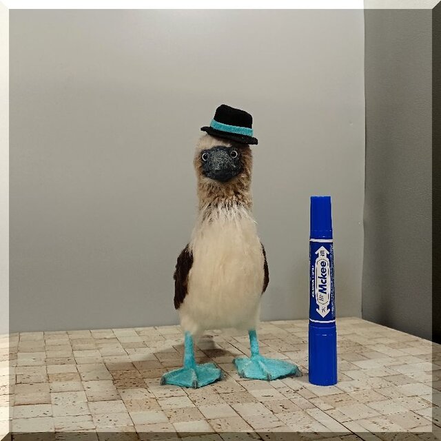 羊毛フェルト 鳥 アオアシカツオドリ 鳥フィギュア 動物フィギュア