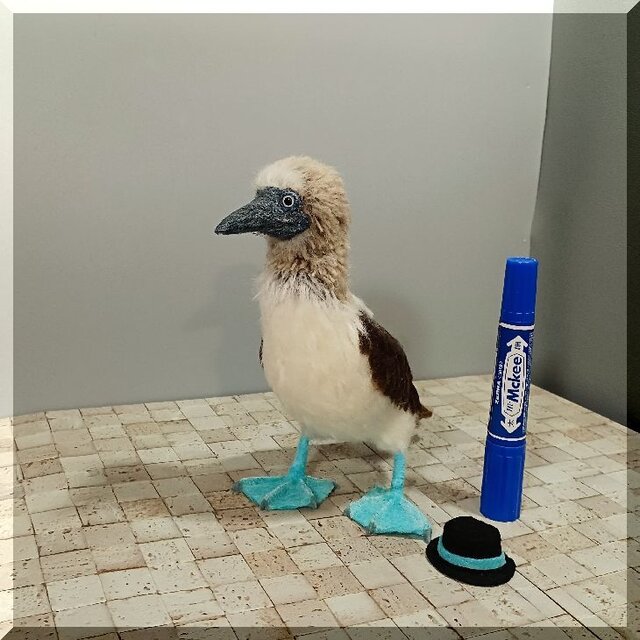 羊毛フェルト 鳥 アオアシカツオドリ 鳥フィギュア 動物フィギュア