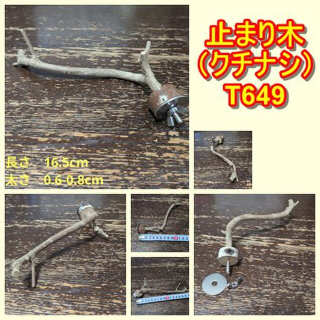止まり木（クチナシ枝：TOY-08-015）T649 | iichi 日々の暮らしを