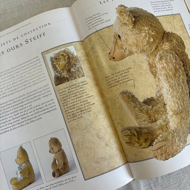 LES ANTIQUITES アンティークの指南書 カラー写真豊富 フランス古本
