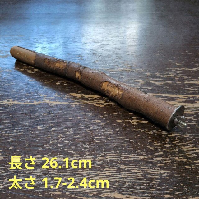 止まり木（枝：TOY-08-015）T652 | iichi 日々の暮らしを心地よくする