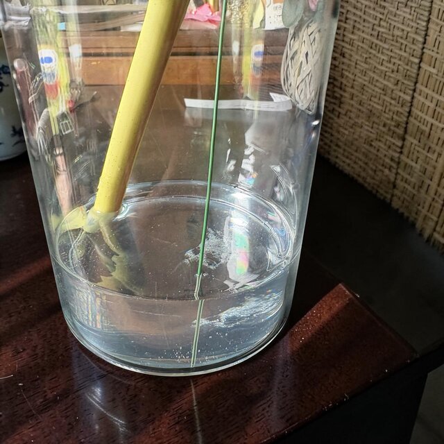 光触媒 人工観葉植物 ウォールグリーン フェイクグリーン マジカル