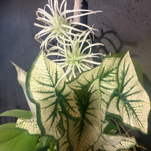 光触媒 人工観葉植物 ウォールグリーン フェイクグリーン 流木壁掛け