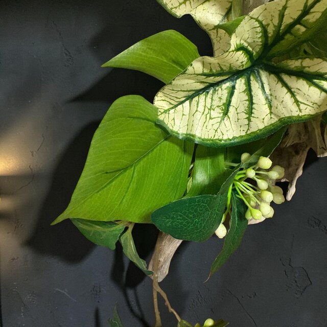 光触媒 人工観葉植物 ウォールグリーン フェイクグリーン 流木壁掛け