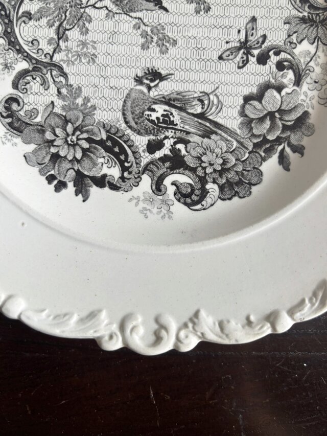 D.Johnston/Bordeaux ボルドー ロココ レリーフ グリザイユ 平皿