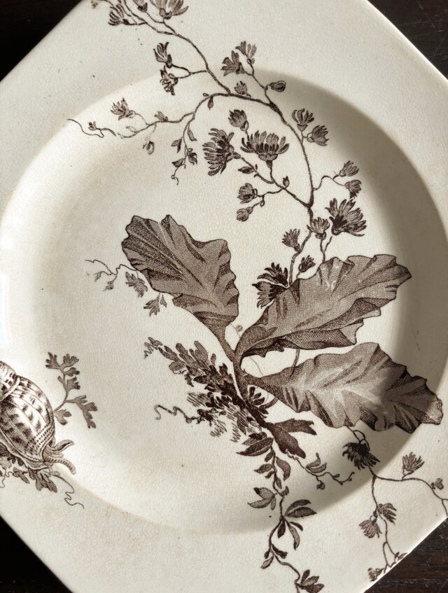 Wedgwood NEPTUNE ウェッジウッド オクトゴナル デザート 平皿