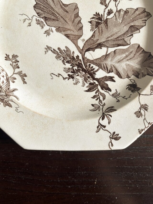 Wedgwood NEPTUNE ウェッジウッド オクトゴナル デザート 平皿
