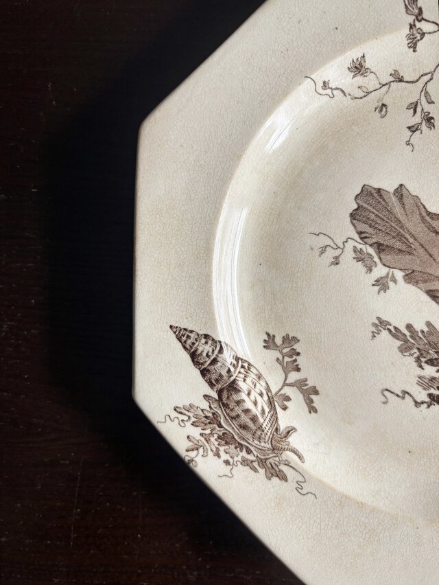 Wedgwood NEPTUNE ウェッジウッド オクトゴナル デザート 平皿