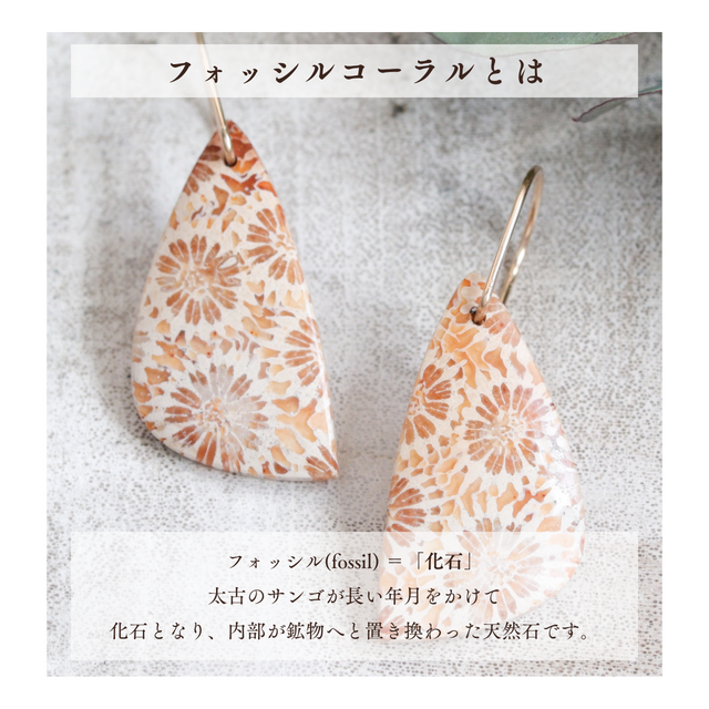 時間を纏う・花模様のフォッシルコーラルピアス｜天然石 一点もの 菊目