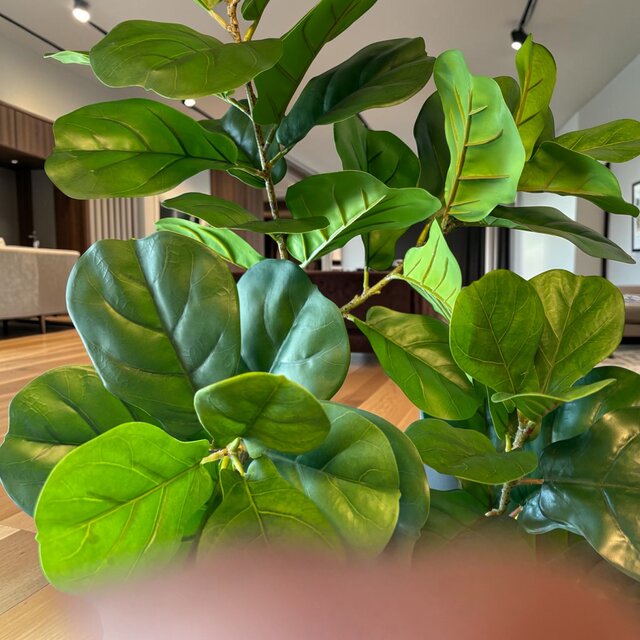 光触媒　人工観葉植物　ウォールグリーン　フェイクグリーン　ウンベラータ180 光触媒 観葉植物 ウォールグリーン フェイクグリーン ニュー