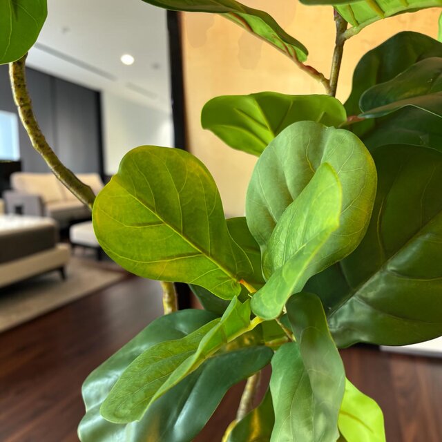光触媒 観葉植物 ウォールグリーン フェイクグリーン ニュー